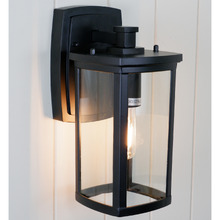 Black Remon Outdoor Wall Light